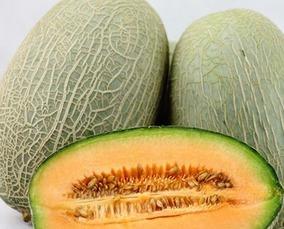 夏天吃哈密瓜好吗