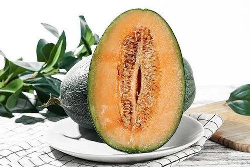 会吃瓜的哈密瓜是什么品种