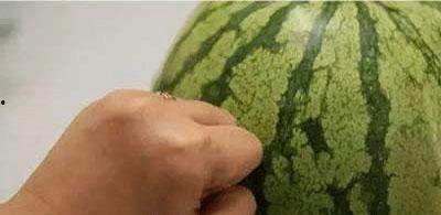 检查前吃瓜了,揭秘背后的惊人真相