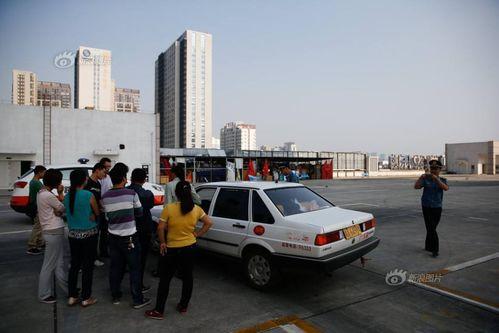 浙江女司机吃瓜,一场网络热议的真相探寻