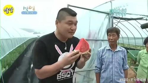 大哥吃瓜现场直播,揭秘娱乐圈幕后风云