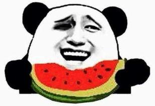 瓜队的吃瓜群众,揭秘吃瓜群众的狂欢盛宴