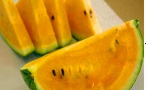 黄色瓜哪里吃的,探寻黄色瓜的多样食用之道